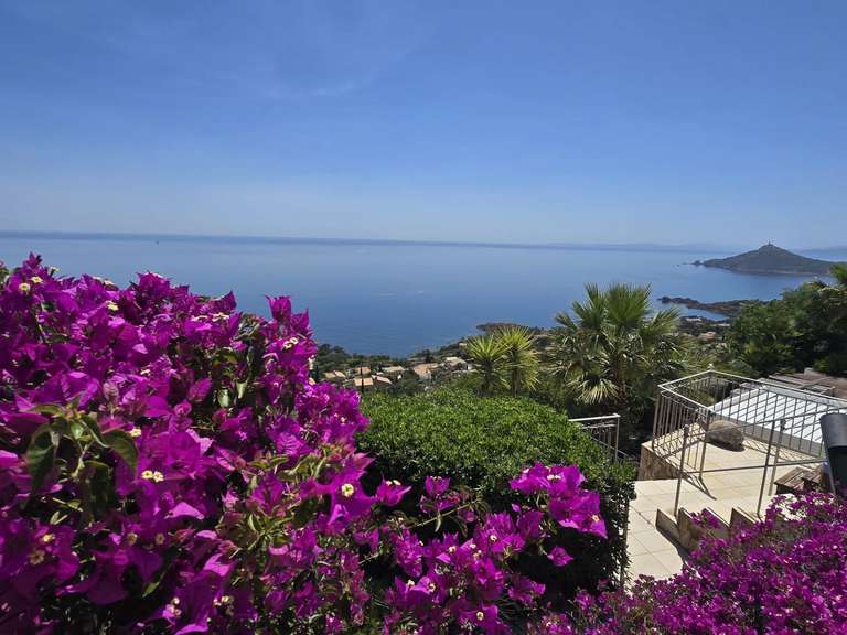 Villa avec Vue sur mer Saint-Raphaël - 5 chambres - 334m²