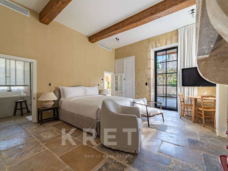 Hôtel particulier Saint-Rémy-de-Provence - 11 chambres - 1200m²
