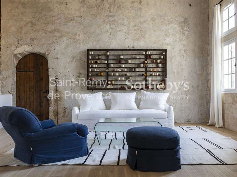 Hôtel particulier Saint-Rémy-de-Provence - 11 chambres - 1167m²