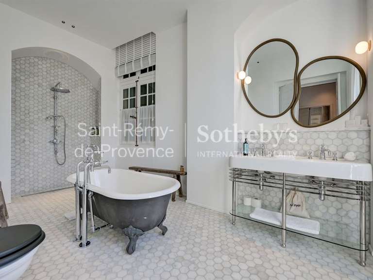 Hôtel particulier Saint-Rémy-de-Provence - 11 chambres - 1167m²