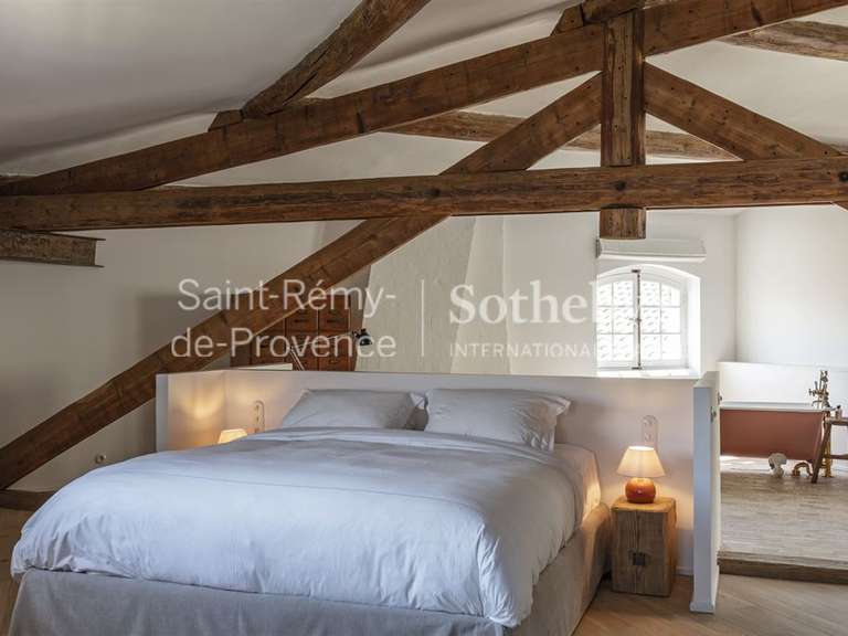 Hôtel particulier Saint-Rémy-de-Provence - 11 chambres - 1167m²