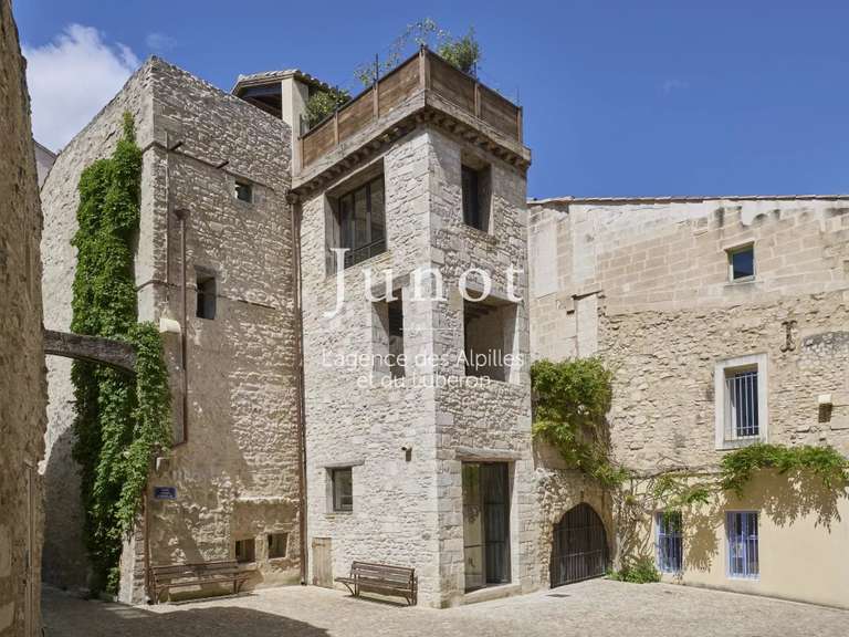 Hôtel particulier Saint-Rémy-de-Provence - 4 chambres - 260m²