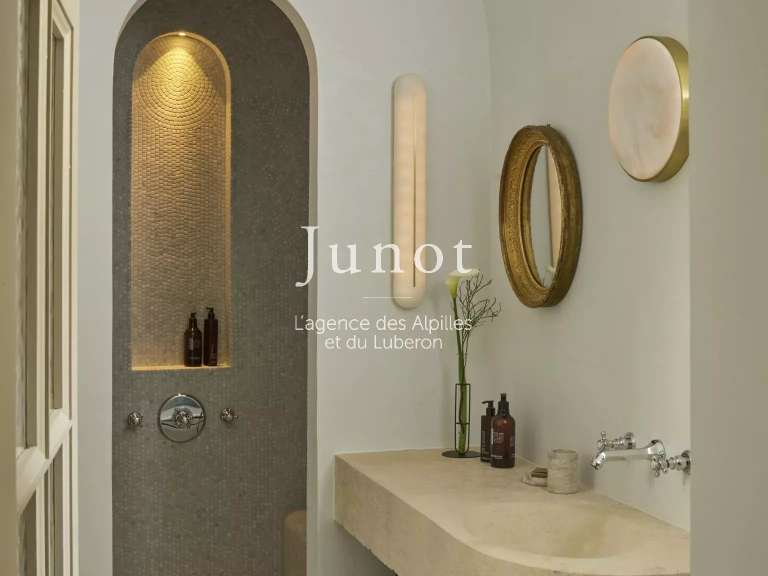 Hôtel particulier Saint-Rémy-de-Provence - 4 chambres - 260m²