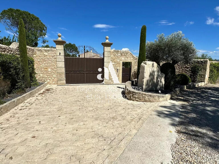 Maison Saint-Rémy-de-Provence - 5 chambres - 300m²