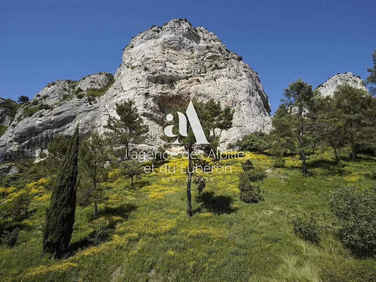 House Saint-Rémy-de-Provence