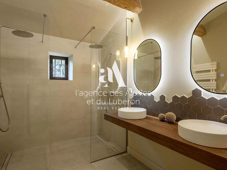 Maison Saint-Rémy-de-Provence - 5 chambres - 250m²