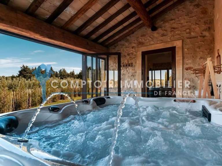 House Saint-Rémy-de-Provence - 6 bedrooms - 360m²