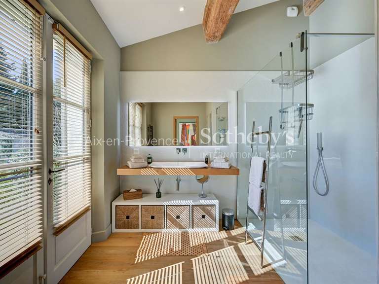 House Saint-Rémy-de-Provence - 5 bedrooms - 360m²