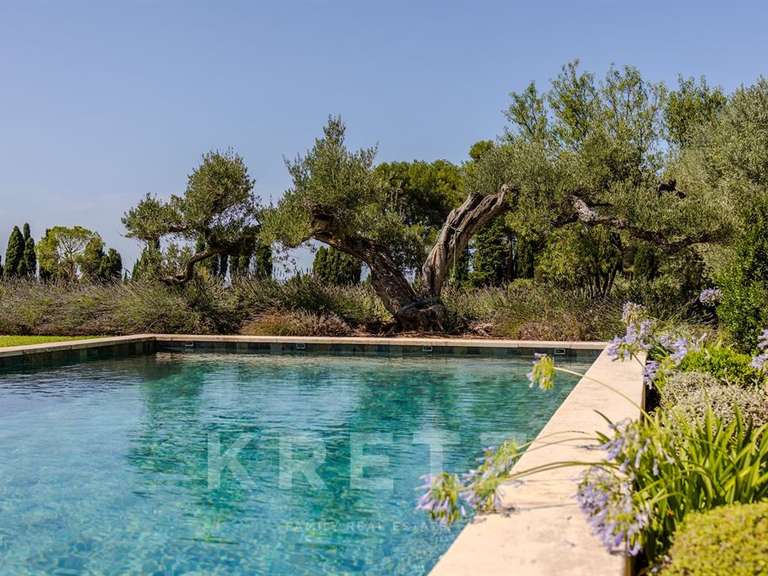 House Saint-Rémy-de-Provence - 5 bedrooms - 265m²