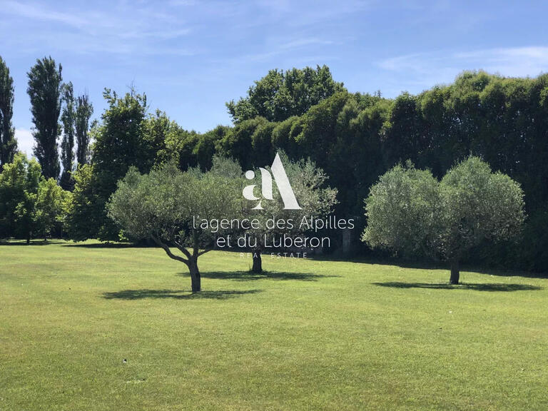 Maison Saint-Rémy-de-Provence - 5 chambres - 580m²