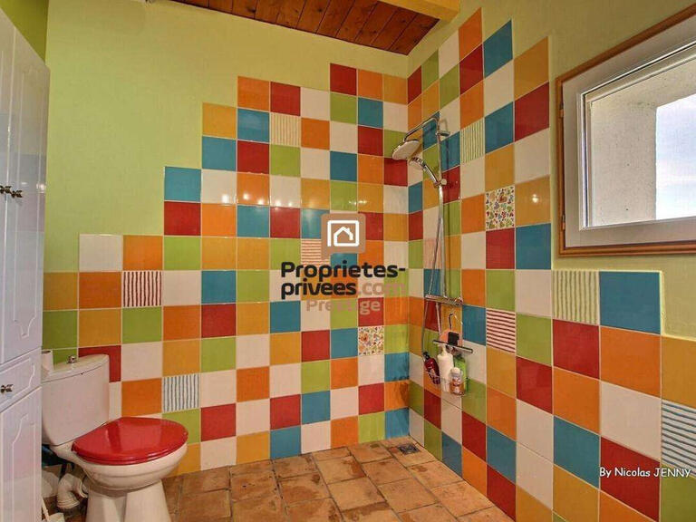 House Saint-Rémy-de-Provence - 4 bedrooms
