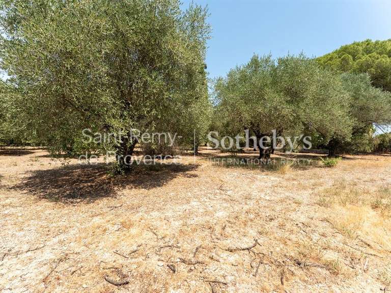 Maison Saint-Rémy-de-Provence - 4 chambres - 200m²