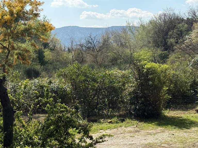 Maison Saint-Rémy-de-Provence - 5 chambres - 124m²