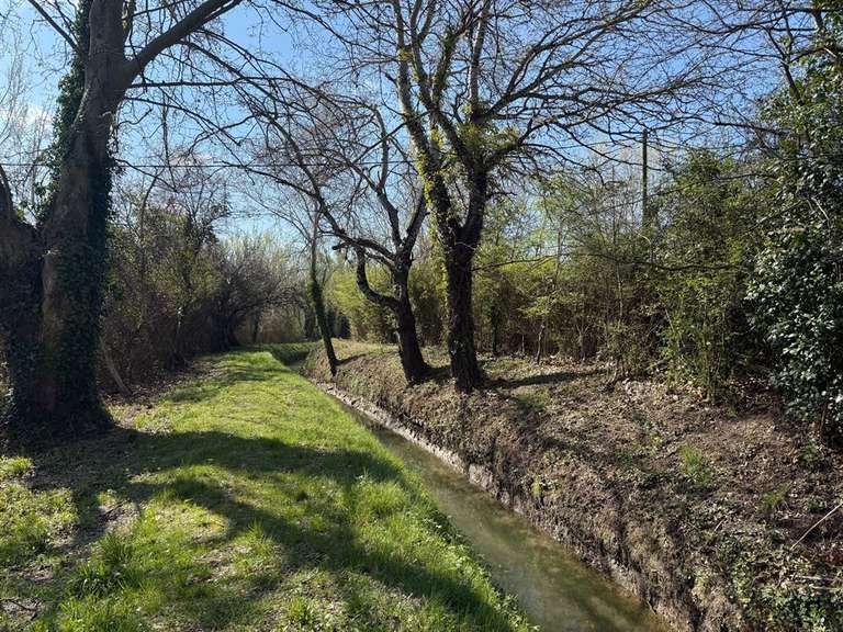 Maison Saint-Rémy-de-Provence - 5 chambres - 124m²