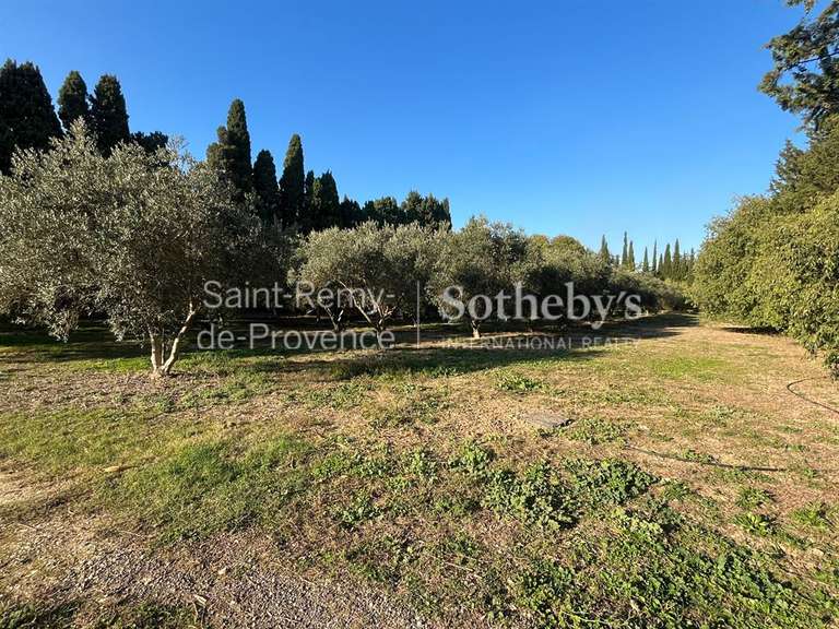 House Saint-Rémy-de-Provence - 4 bedrooms - 262m²