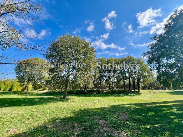 House Saint-Rémy-de-Provence - 4 bedrooms - 262m²