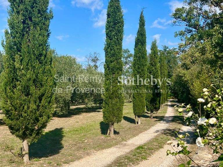 House Saint-Rémy-de-Provence - 4 bedrooms - 262m²