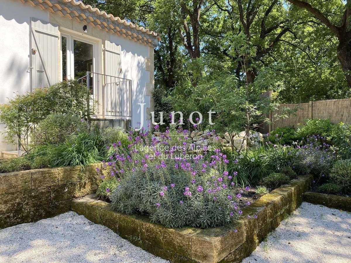 House Saint-Rémy-de-Provence