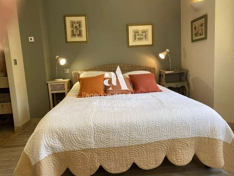 House Saint-Rémy-de-Provence - 5 bedrooms - 2000m²