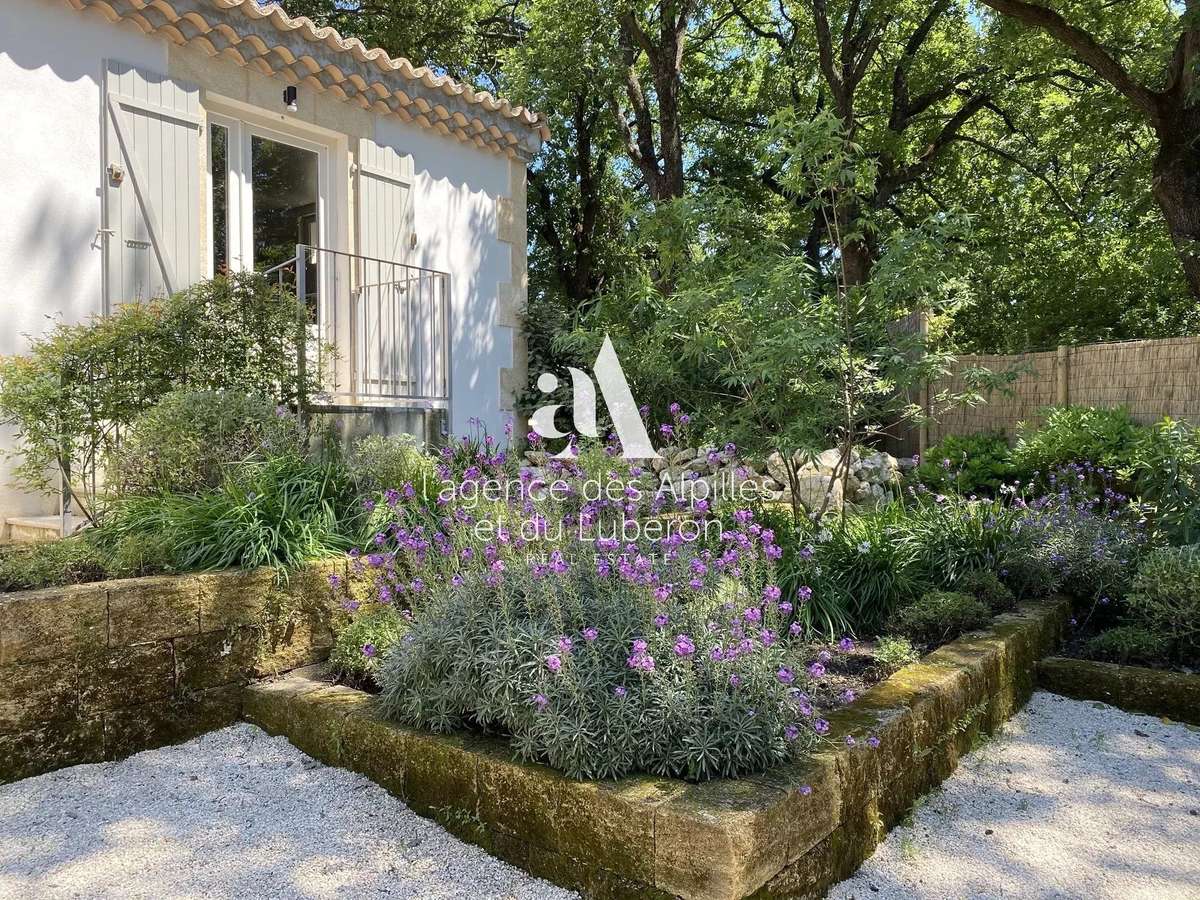 House Saint-Rémy-de-Provence