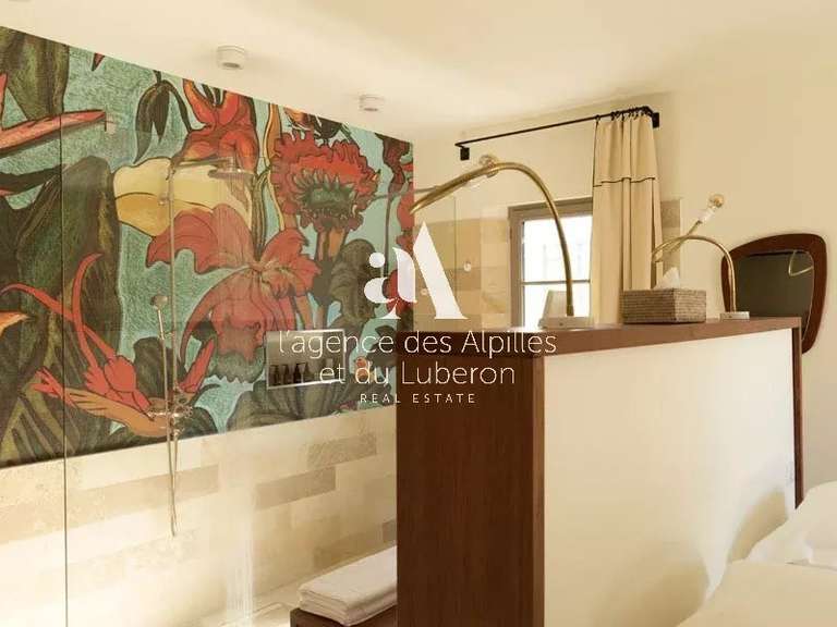 House Saint-Rémy-de-Provence - 3 bedrooms - 800m²