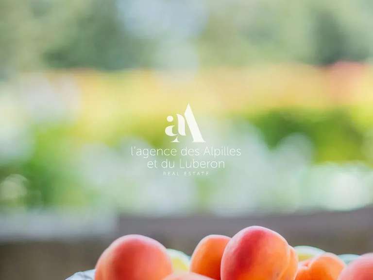 House Saint-Rémy-de-Provence - 5 bedrooms - 200m²