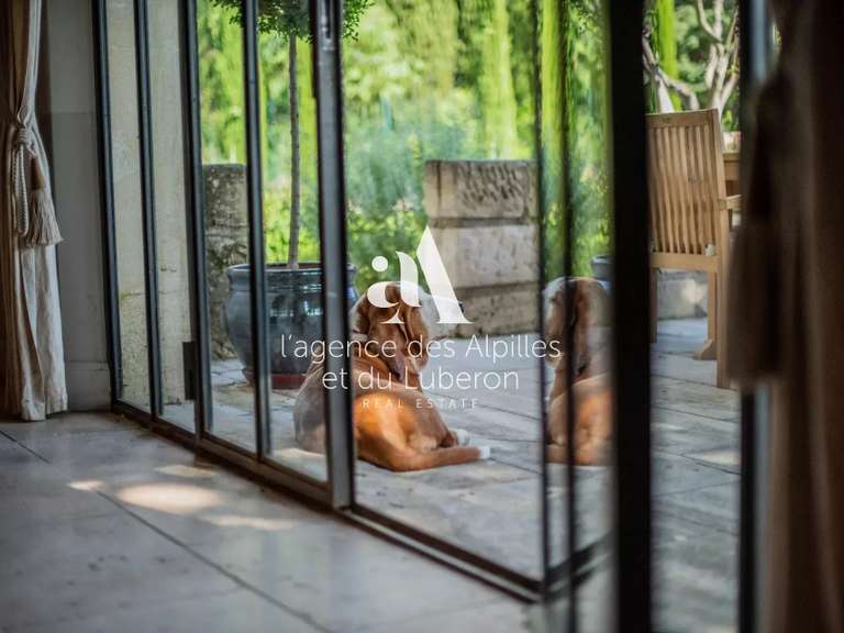 House Saint-Rémy-de-Provence - 5 bedrooms - 200m²