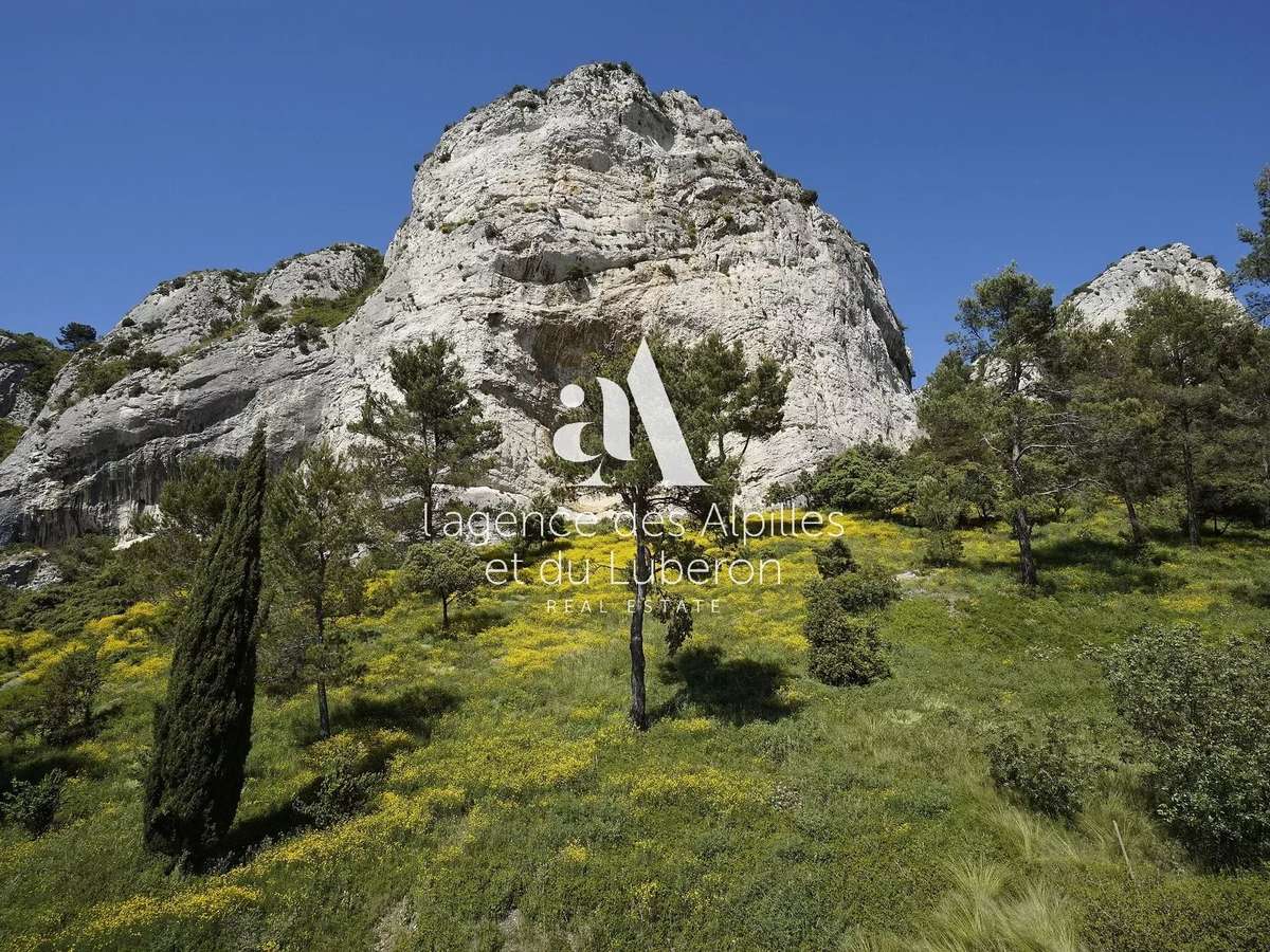 House Saint-Rémy-de-Provence