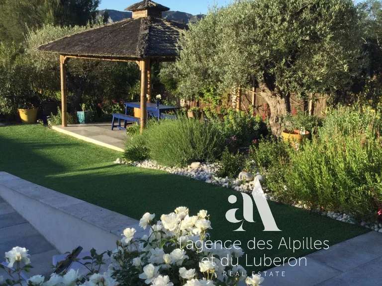 House Saint-Rémy-de-Provence - 3 bedrooms - 2000m²