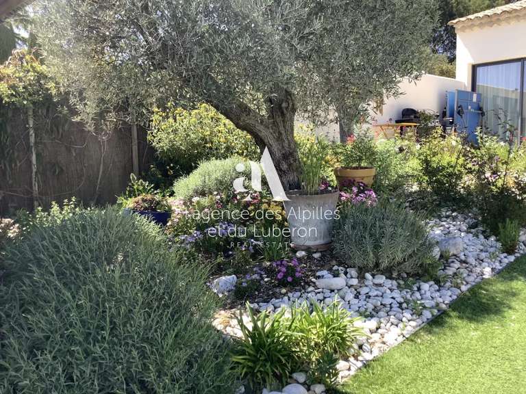 House Saint-Rémy-de-Provence - 3 bedrooms - 2000m²