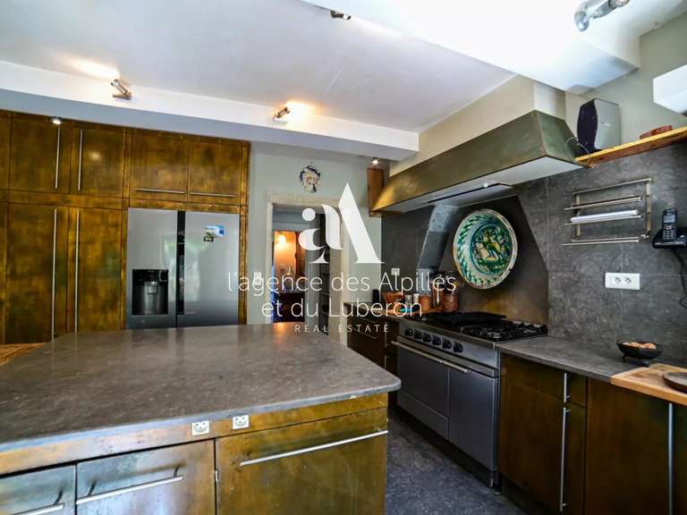 House Saint-Rémy-de-Provence - 5 bedrooms - 10000m²