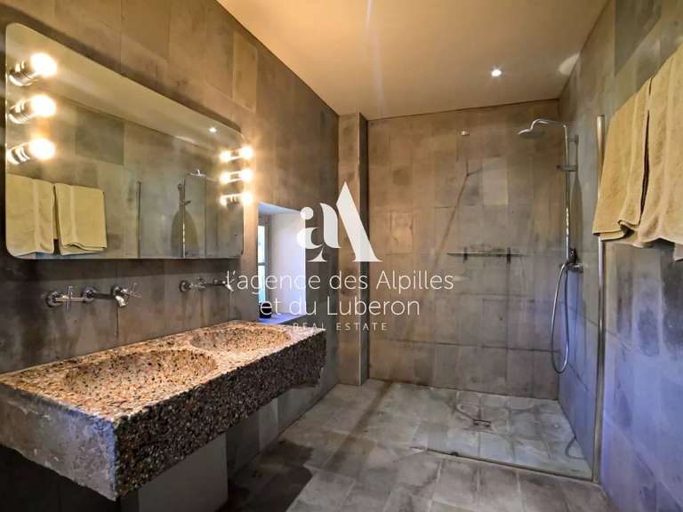 House Saint-Rémy-de-Provence - 5 bedrooms - 10000m²