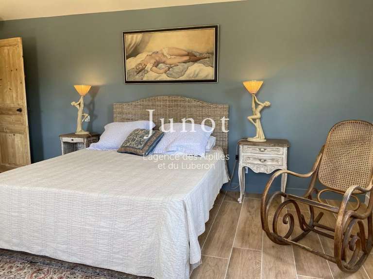 Maison Saint-Rémy-de-Provence - 5 chambres - 3000m²