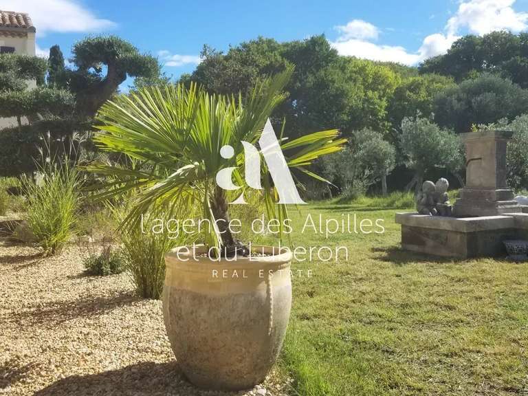 House Saint-Rémy-de-Provence - 5 bedrooms - 3000m²