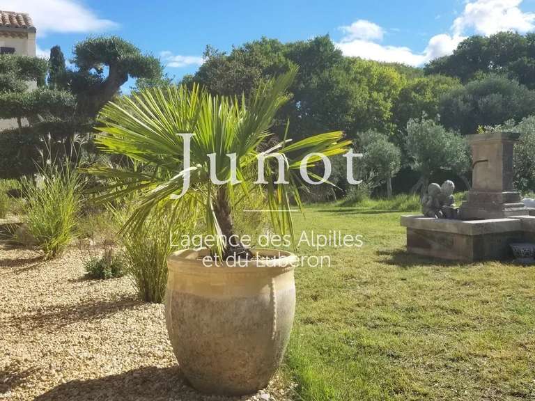 Maison Saint-Rémy-de-Provence - 5 chambres - 3000m²