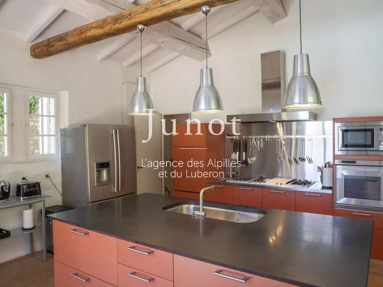 Maison Saint-Rémy-de-Provence - 7 chambres - 400m²