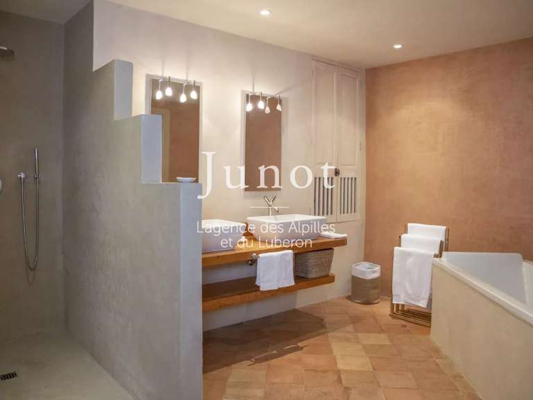 Maison Saint-Rémy-de-Provence - 7 chambres - 400m²