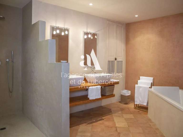 House Saint-Rémy-de-Provence - 7 bedrooms - 400m²