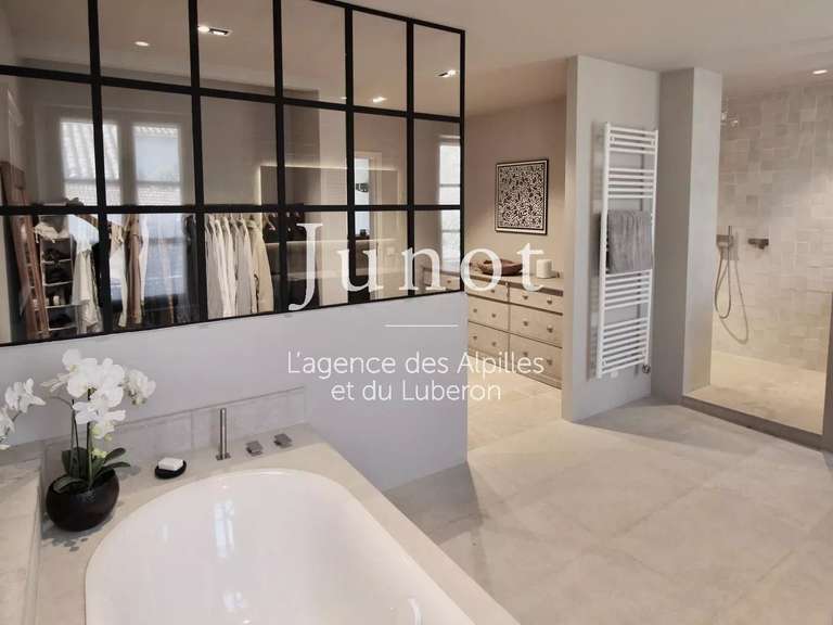 Maison Saint-Rémy-de-Provence - 5 chambres - 1000m²