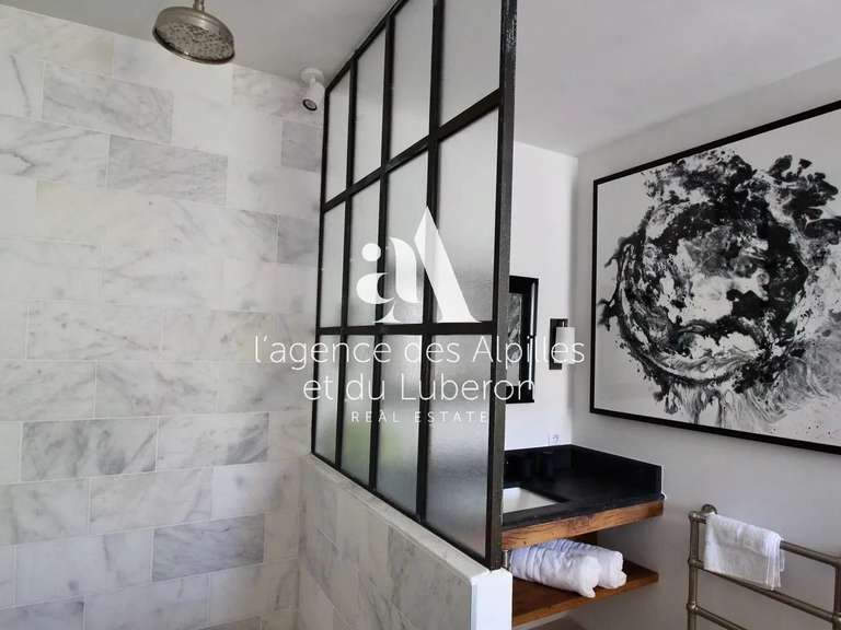 House Saint-Rémy-de-Provence - 5 bedrooms - 1000m²