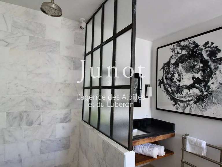 Maison Saint-Rémy-de-Provence - 5 chambres - 1000m²