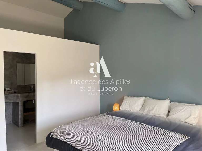 House Saint-Rémy-de-Provence - 6 bedrooms - 650m²