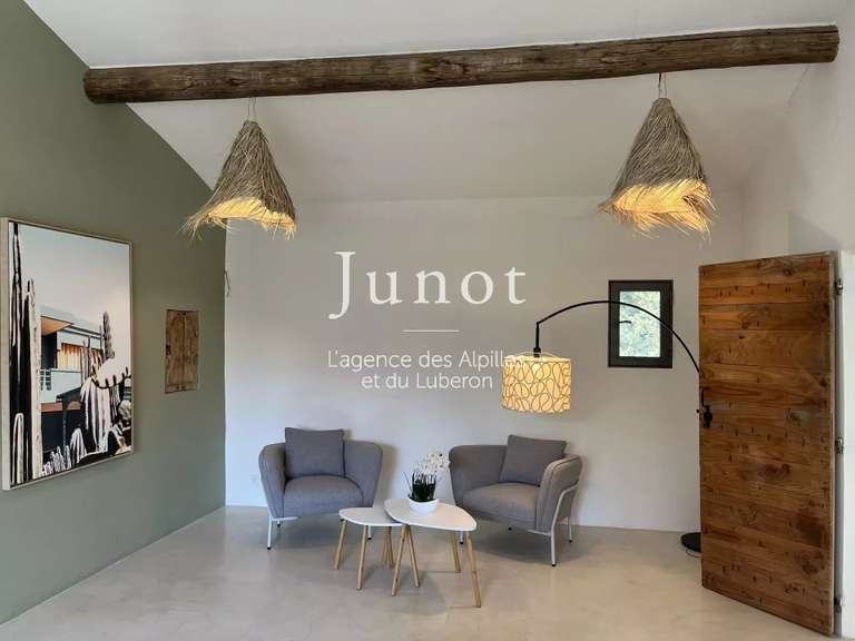 Maison Saint-Rémy-de-Provence - 6 chambres - 650m²