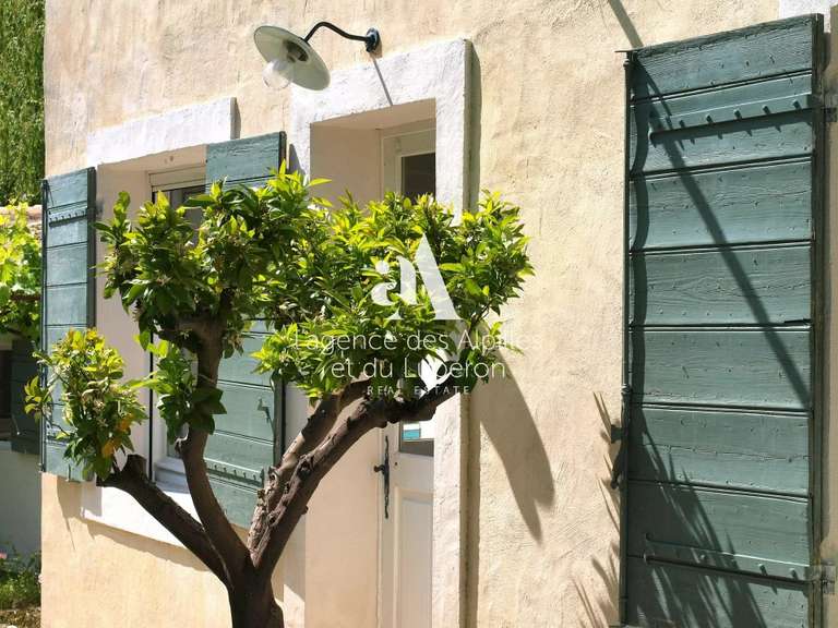 House Saint-Rémy-de-Provence - 6 bedrooms - 650m²