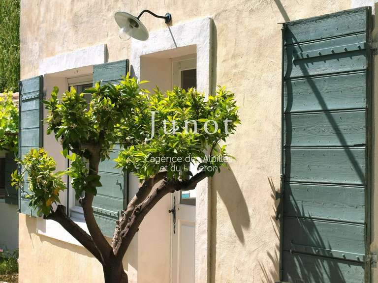 Maison Saint-Rémy-de-Provence - 6 chambres - 650m²