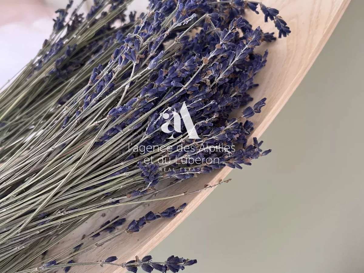 House Saint-Rémy-de-Provence