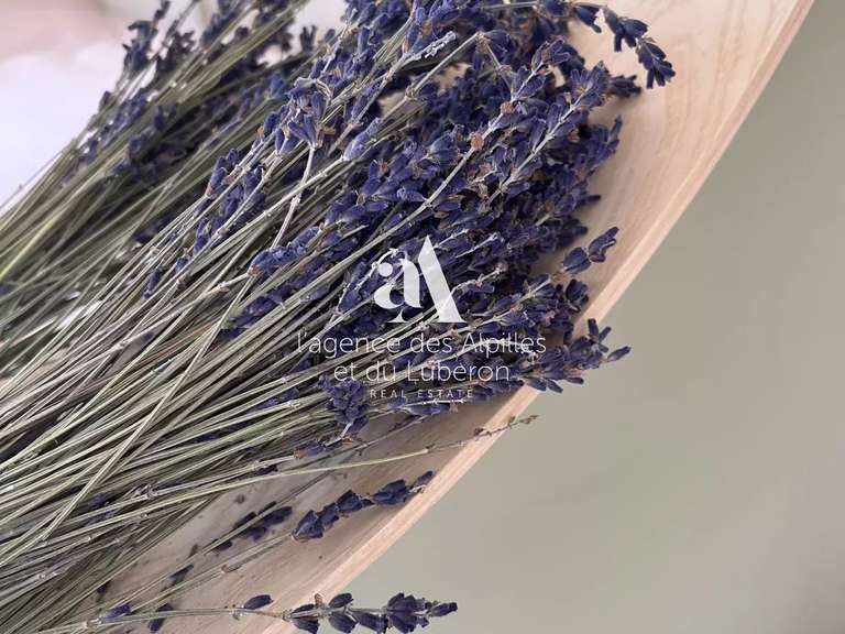 House Saint-Rémy-de-Provence - 6 bedrooms - 650m²