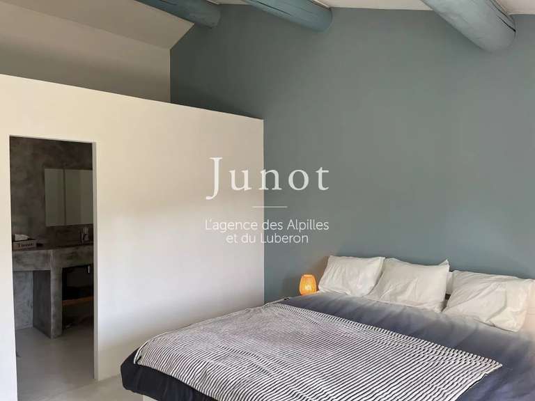 Maison Saint-Rémy-de-Provence - 6 chambres - 650m²