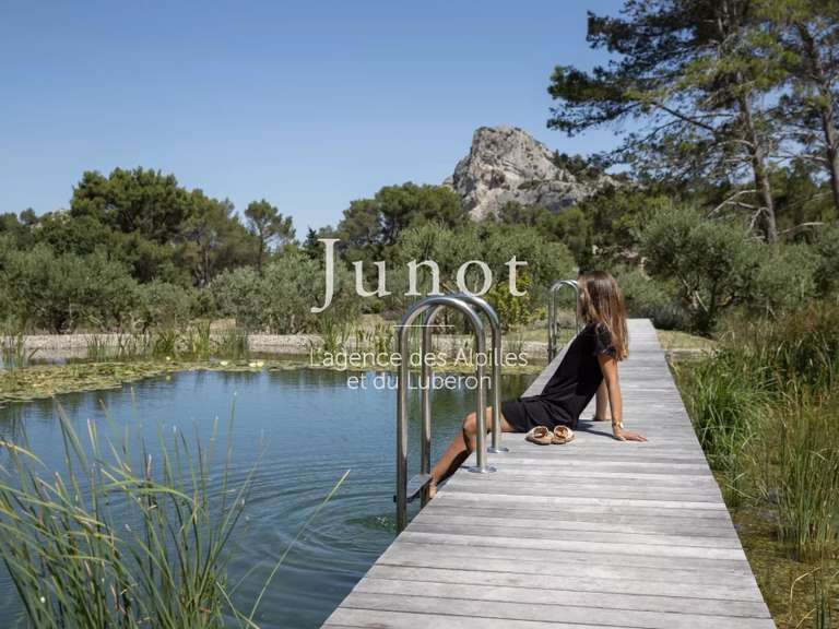 Maison Saint-Rémy-de-Provence - 4 chambres - 250m²