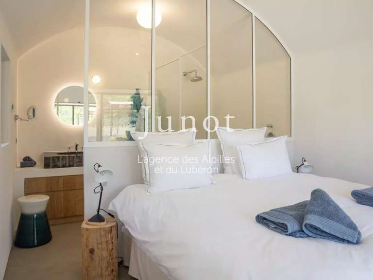 Maison Saint-Rémy-de-Provence - 4 chambres - 250m²